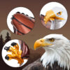 3d eagle balloon -03