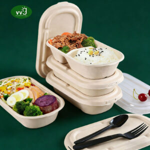Compartment Sugarcane Pulp Lunch Box
