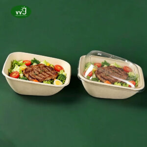 Sugarcane Pulp Disposable Food Container