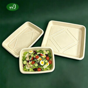 Bagasse Serving Tray