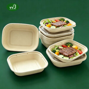 Sugarcane Pulp Disposable Lunch Box