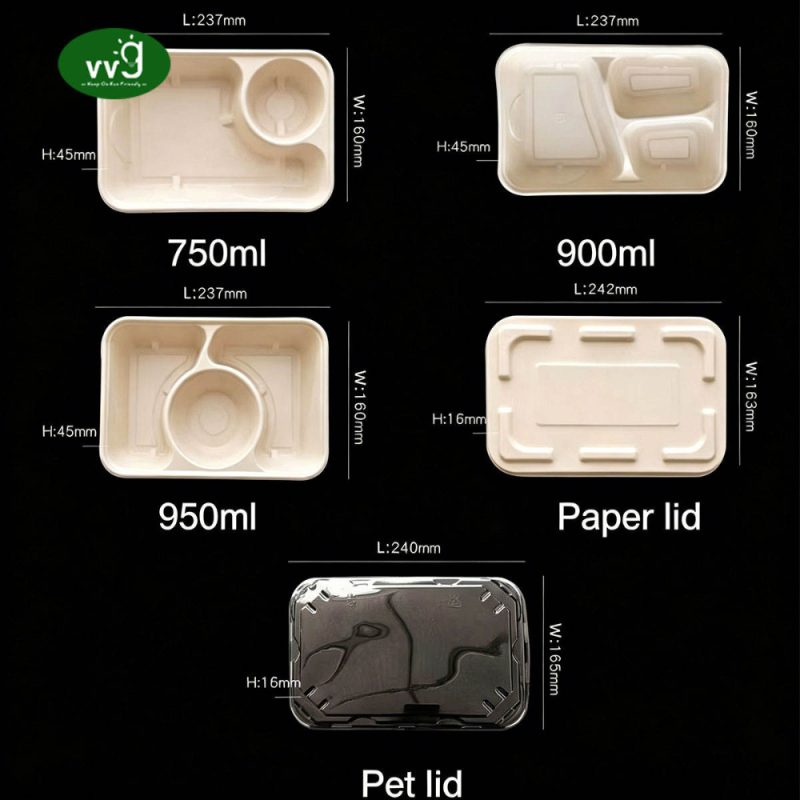 3 Compartment Bagasse Lunch Box With Lid