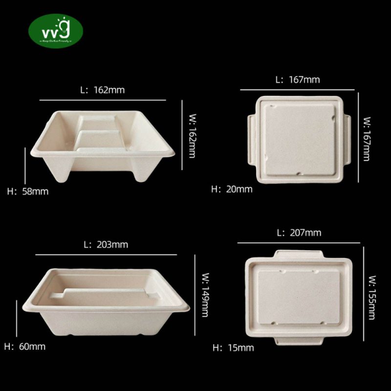 Bagasse Clamshell Food Container