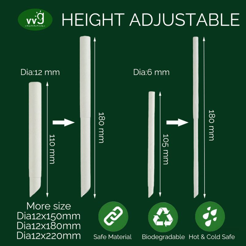 Biodegradable Telescopic Paper Straws