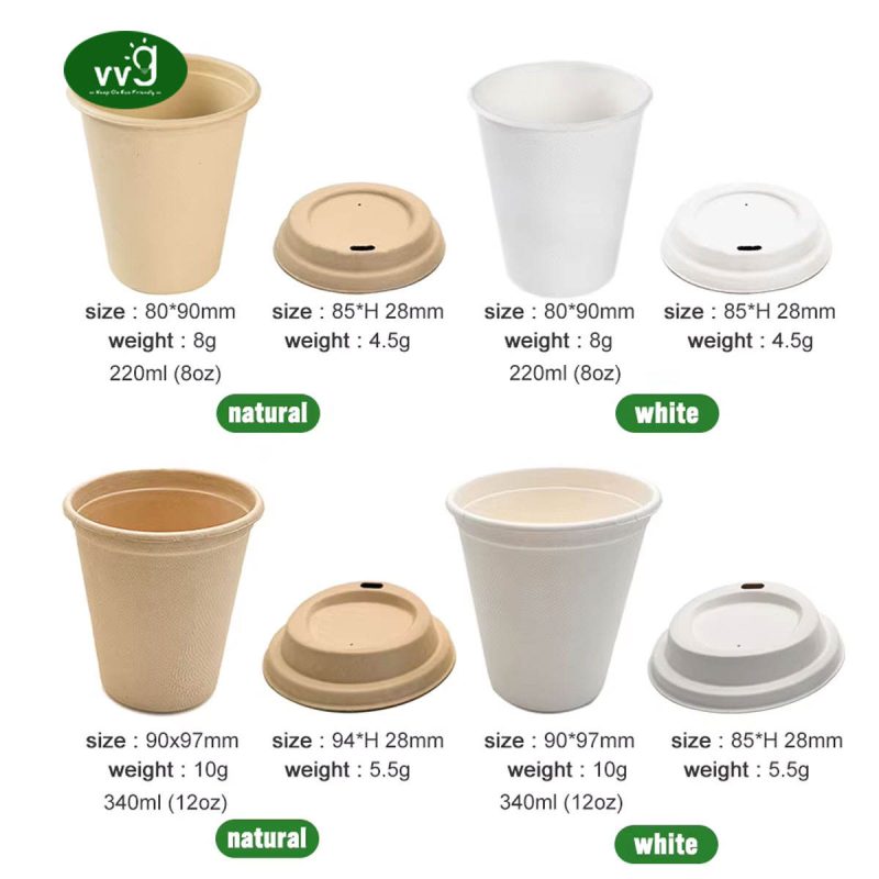 Sugarcane Bagasse Paper Cup