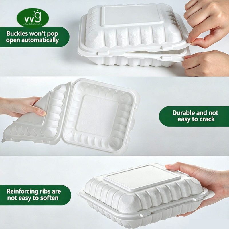 Compartment Plastic Takeout Box