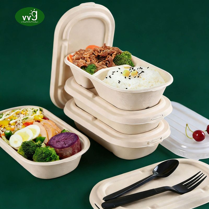 Compartment Sugarcane Pulp Lunch Box