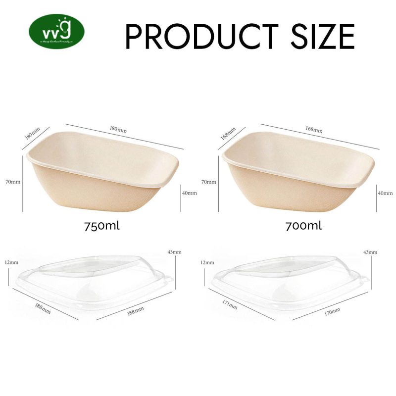 Sugarcane Pulp Disposable Food Container