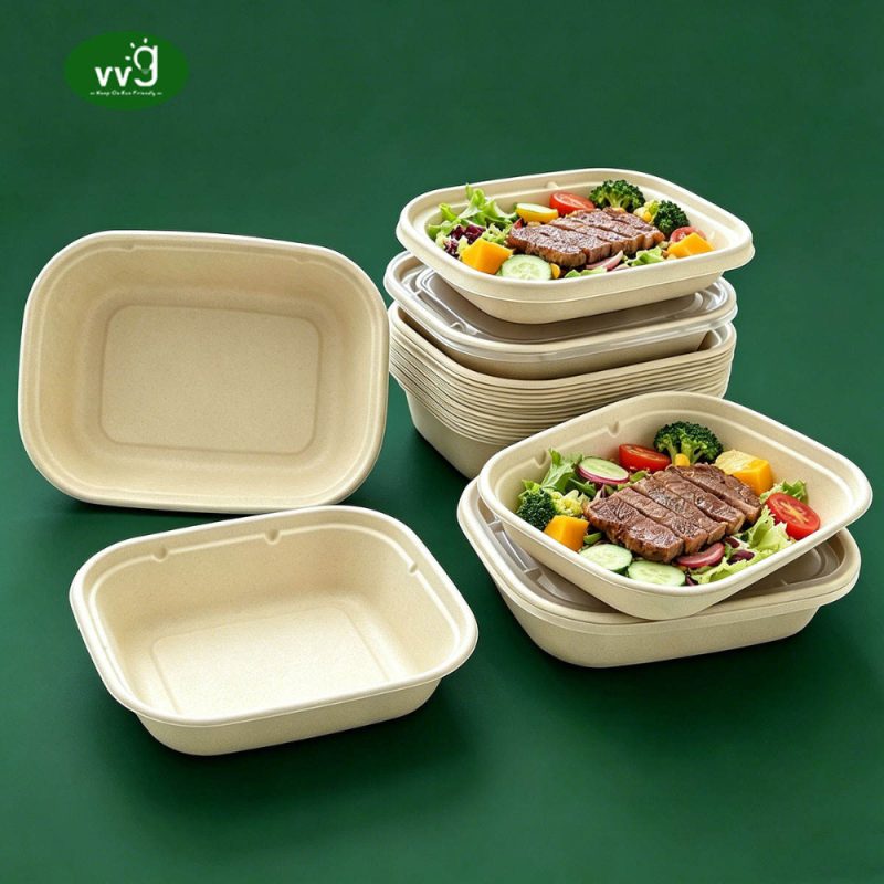 Sugarcane Pulp Disposable Lunch Box
