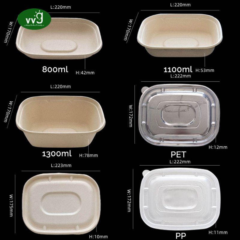 Sugarcane Pulp Disposable Lunch Box