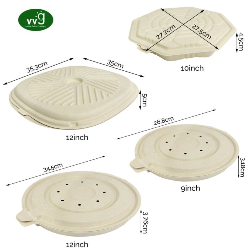 Sugarcane Pulp Disposable Pizza Container